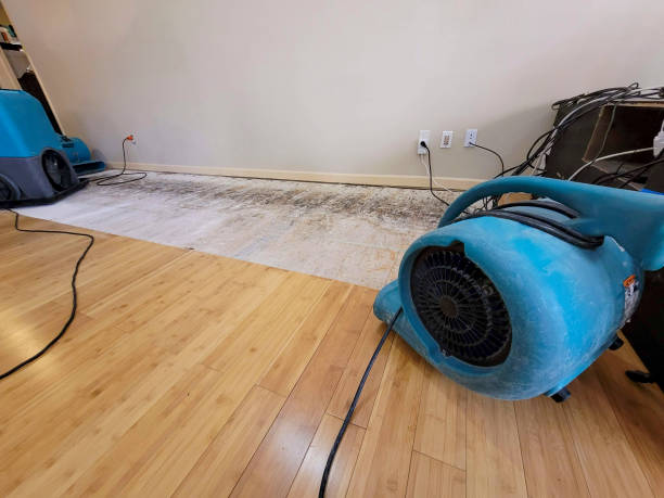 Professional Water Damage Repair technician working in Freeport, MN